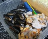 Foto del paso 3 de la receta: Arroz con pollo y mejillones