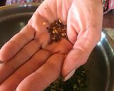 Foto del paso 4 de la receta: Salsa chimichurri Carmen