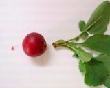 A picture of step 1 of Pickled Chrysanthemum Radish for New Year's Osechi Feast.