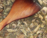 Foto del paso 3 de la receta: Medallones de solomillo de cerdo con setas al wok en salsa de hongos