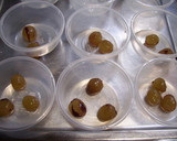 A picture of step 2 of A Slightly Grown-up Wine Grape Jello.