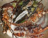 Foto langkah ke 3 dari resep Lobster Asam Manis.