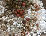 A picture of step 2 of Peppery Sago.