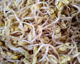 Foto langkah ke 1 dari resep Oseng Tokolan Dele / Tumis Toge Kedelai / kecambah kedelai.