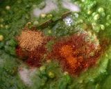 A picture of step 3 of Tuver beans in Hydrabadi gravy.