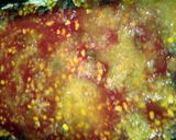 A picture of step 5 of sausage add corn casserole.