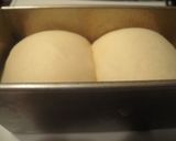 A picture of step 9 of Enchantingly Silky-Smooth Shokupan (Square Loaf Bread) With Condensed Milk.