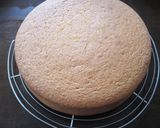 A picture of step 16 of Light and Moist Milk Sponge Cake.