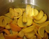 A picture of step 7 of Homemade Candied Orange Peels.