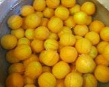 A picture of step 2 of Kumquat Compote.