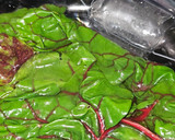 Foto del paso 2 de la receta: Acelgas rojas al ajillo
