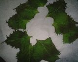 A picture of step 2 of Dried Shiso Leaves (For Onigiri, Pasta, or for Stocking).