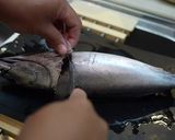 A picture of step 5 of Preparing Frigate Mackerel (Katsuo).