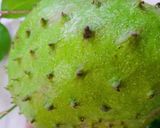 Hình bước làm 1 của món Sinh tố mãng cầu xiêm