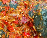 Foto langkah ke 4 dari resep Sambal terong kemangi.