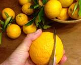 Homemade Candied Orange Peels recipe step 1 photo