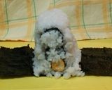 A picture of step 12 of Decorated Sushi Rolls: Snowmen Nori Rolls.
