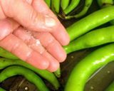 A picture of step 4 of Broiled Fava Bean Pods.