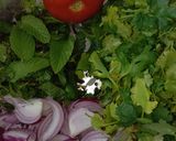 A picture of step 1 of Pudina chutney.