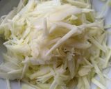 Foto langkah ke 1 dari resep Sambel mangga muda udang rebon (peppi gammi pau).