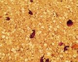 A picture of step 7 of Healthier Flapjacks.