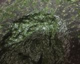 A picture of step 8 of Molli ke parathy.