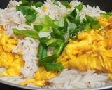 A picture of step 7 of Chicken jalferazi with egg rice.