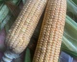 A picture of step 1 of Sweet buttered corn on the cob.