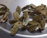 A picture of step 6 of Motichoor Laddoo.