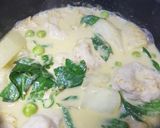 A picture of step 3 of Green Curry with King Mackerel Fish Balls.