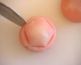 A picture of step 8 of Basic Nerikiri (Bean Paste and Rice Dough).