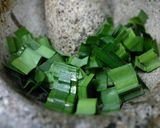 A picture of step 10 of Tapioca Pearl.