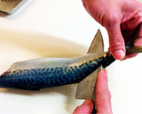 A picture of step 12 of How to Fillet a Whole Fish.