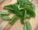 Foto del paso 1 de la receta: Trottole tricolor con bonito a la menta y albahaca