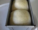 A picture of step 6 of Whole Wheat Square Loaf - Perfect for Sandwiches.