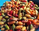 Foto langkah ke 1 dari resep Lodeh kulit melinjo yummy.