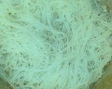 Foto langkah ke 1 dari resep Bihun ayam nyemek.