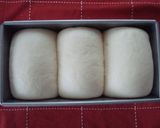 A picture of step 8 of Simple Loaf Bread Using a Bread Machine.