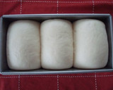 A picture of step 8 of Simple Loaf Bread Using a Bread Machine.
