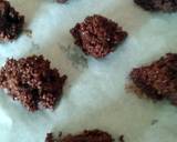 Vickys Coco-Choco Quinoa Bites, GF DF EF SF NF recipe step 3 photo