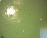 A picture of step 3 of Milk Matcha Chocolate Truffles.