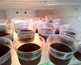 Foto langkah ke 4 dari resep 06. Puding Coklat.