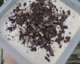 Foto langkah ke 5 dari resep Es Krim Milo Oreo Super Ekonomis.