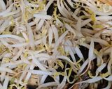 Foto langkah ke 2 dari resep Tumis Tongkol Toge.