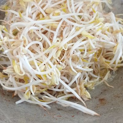 Langkah 2