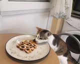 Gluténmentes aszalt gyümis csirkemell, fokhagymás-tejfölös virslisalátával recept fázis 7 fotója