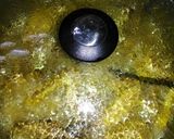 Foto langkah ke 3 dari resep Ayam goreng bumbu kuning jodha.
