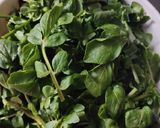 A picture of step 1 of Watercress Soup.
