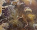 Foto del paso 4 de la receta Arroz meloso de conejo y portobello