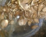 Foto del paso 7 de la receta: Brotes de lentejas y girasol